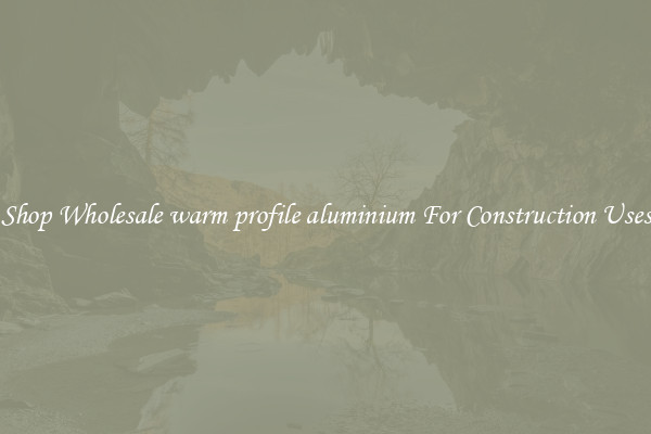 Shop Wholesale warm profile aluminium For Construction Uses