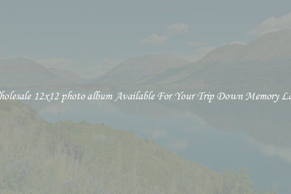 Wholesale 12x12 photo album Available For Your Trip Down Memory Lane