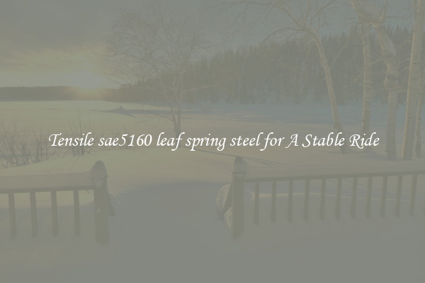 Tensile sae5160 leaf spring steel for A Stable Ride