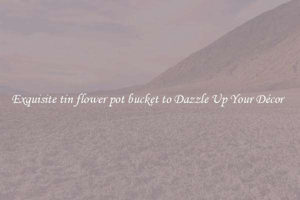 Exquisite tin flower pot bucket to Dazzle Up Your Décor  