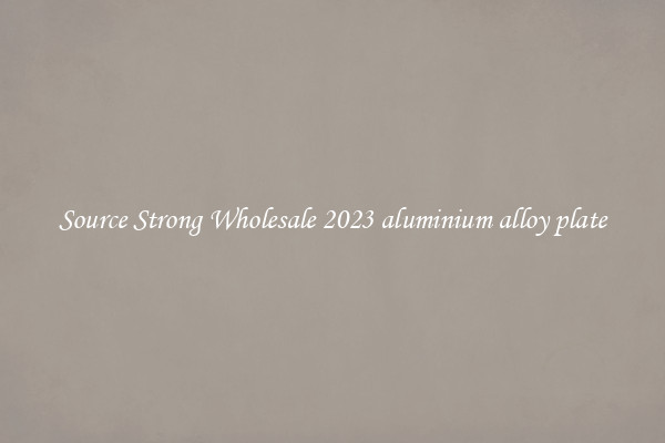 Source Strong Wholesale 2023 aluminium alloy plate