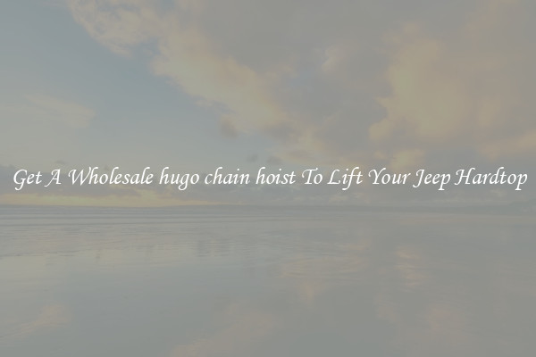 Get A Wholesale hugo chain hoist To Lift Your Jeep Hardtop
