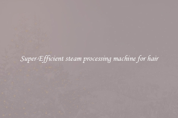 Super-Efficient steam processing machine for hair