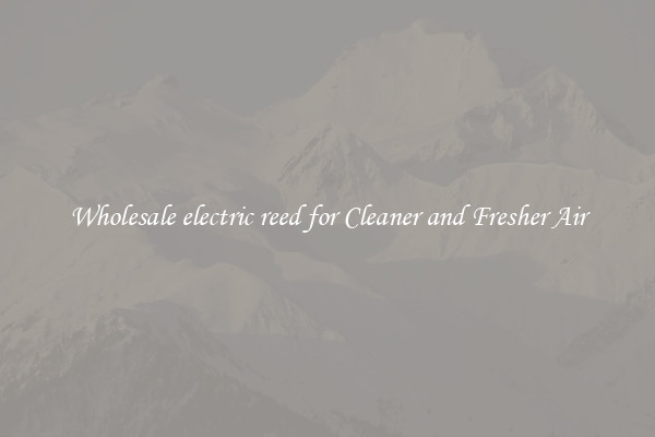 Wholesale electric reed for Cleaner and Fresher Air