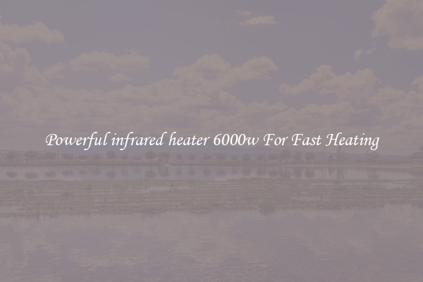 Powerful infrared heater 6000w For Fast Heating