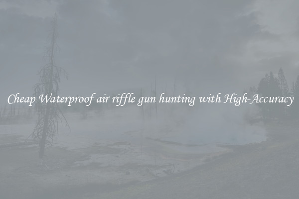 Cheap Waterproof air riffle gun hunting with High-Accuracy