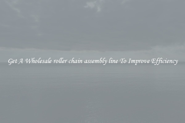 Get A Wholesale roller chain assembly line To Improve Efficiency