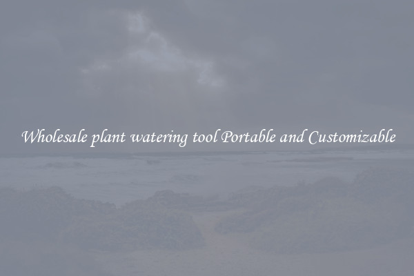 Wholesale plant watering tool Portable and Customizable