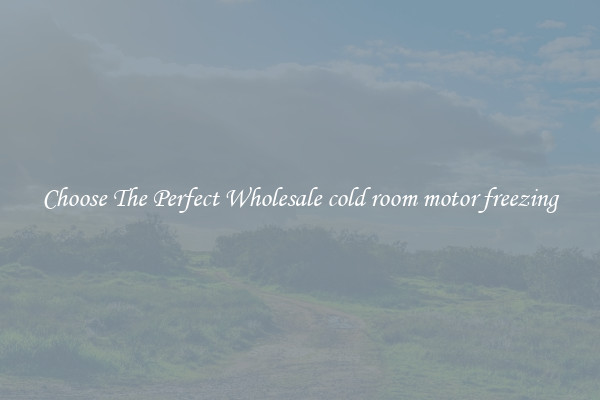 Choose The Perfect Wholesale cold room motor freezing