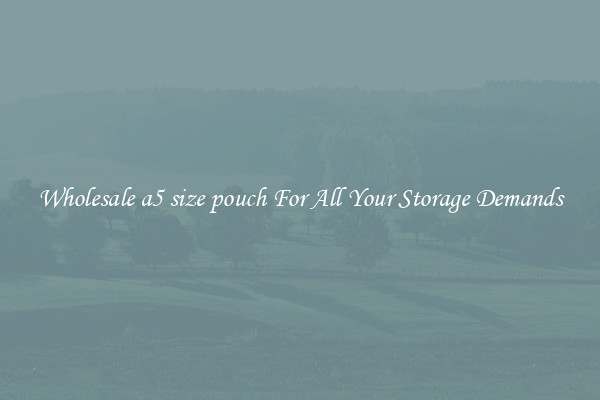 Wholesale a5 size pouch For All Your Storage Demands