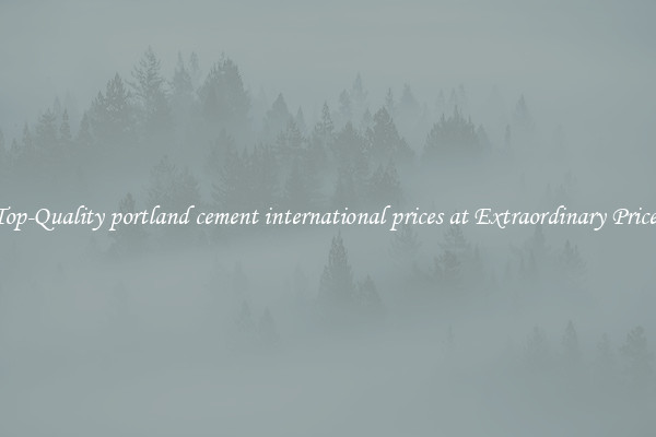 Top-Quality portland cement international prices at Extraordinary Prices