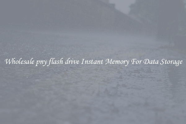 Wholesale pny flash drive Instant Memory For Data Storage